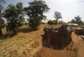 Bénin Excursion, agence de tourisme au Bénin