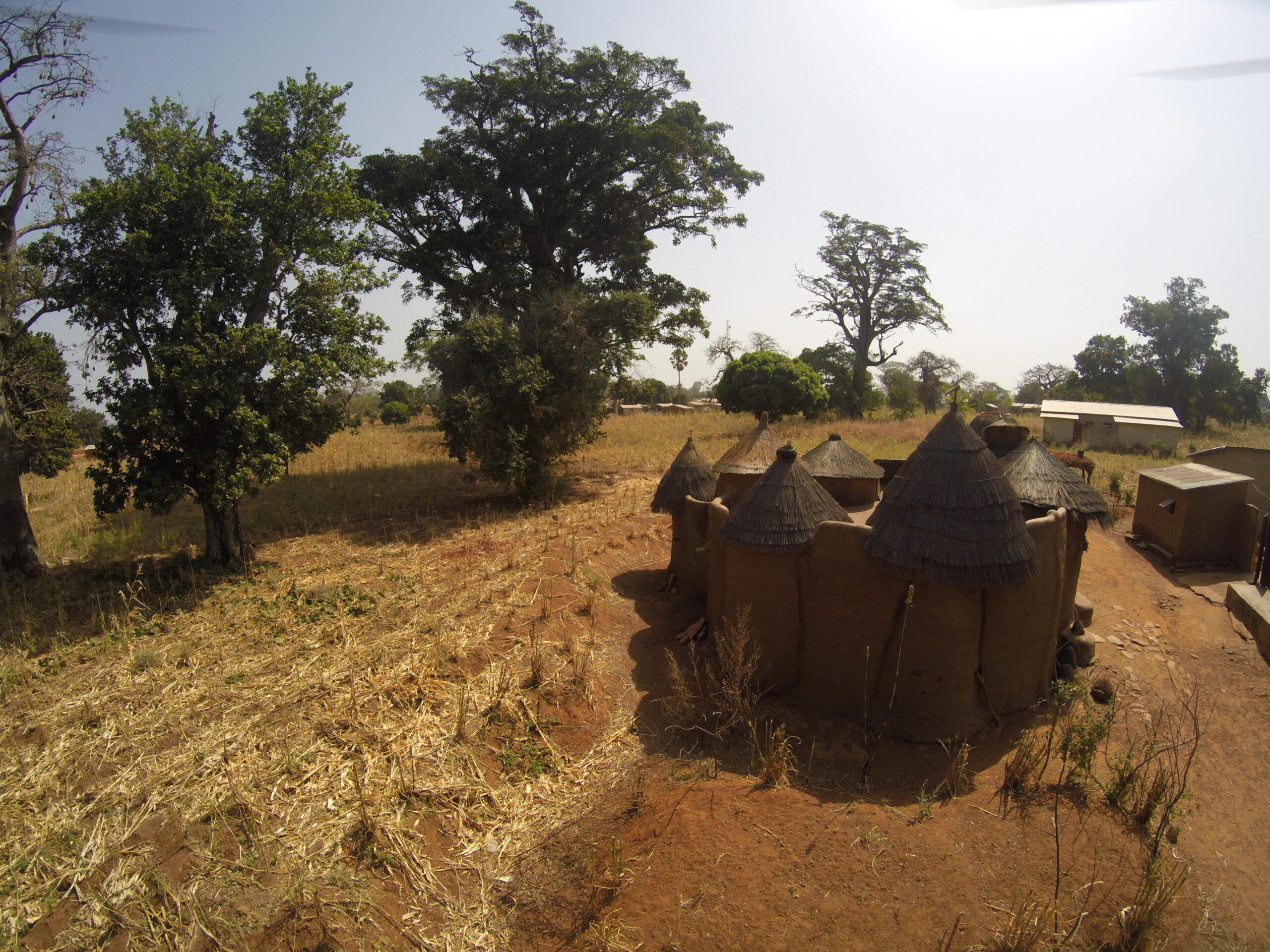 Bénin Excursion, agence de tourisme au Bénin